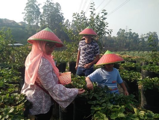 Paket Wisata Bandung Tour - Gambar 3