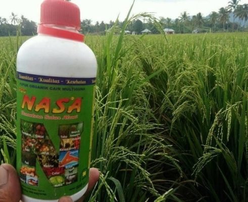 pupuk organik poc nasa