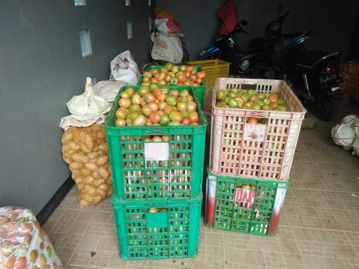 Supplier produsen sayuran