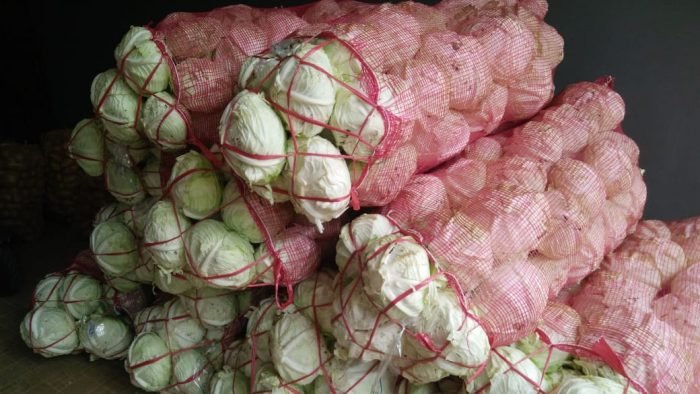 distributor gudang sayuran segar