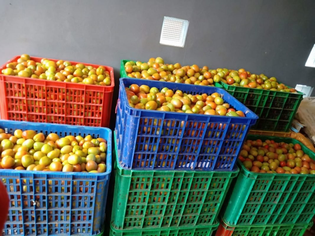 penyuplai sayuran bandung