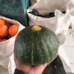 Jual Labu Kabocha Langsung dari Petani