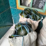 Produsen Labu Kabocha Siap Kirim