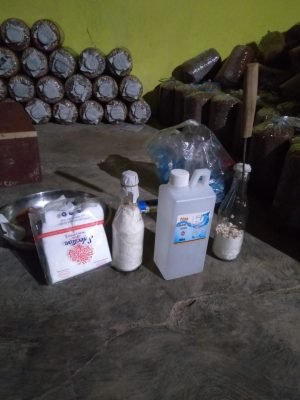 produsen petani dan pemasok baglog jamur tiram putih dan coklat 04