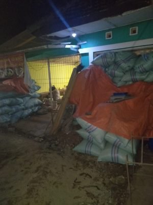 produsen petani dan pemasok baglog jamur tiram putih dan coklat 08